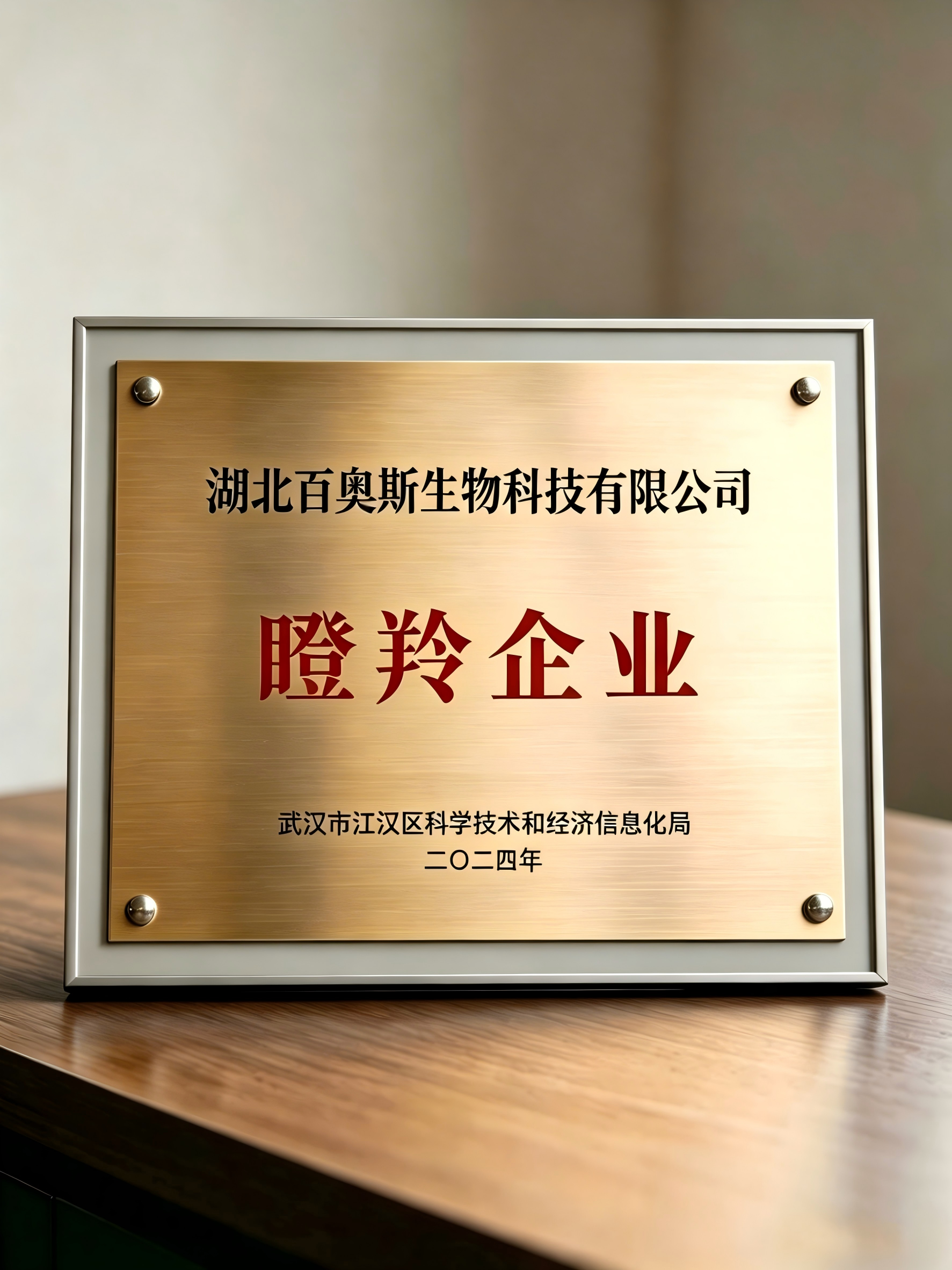 瞪羚企业2024