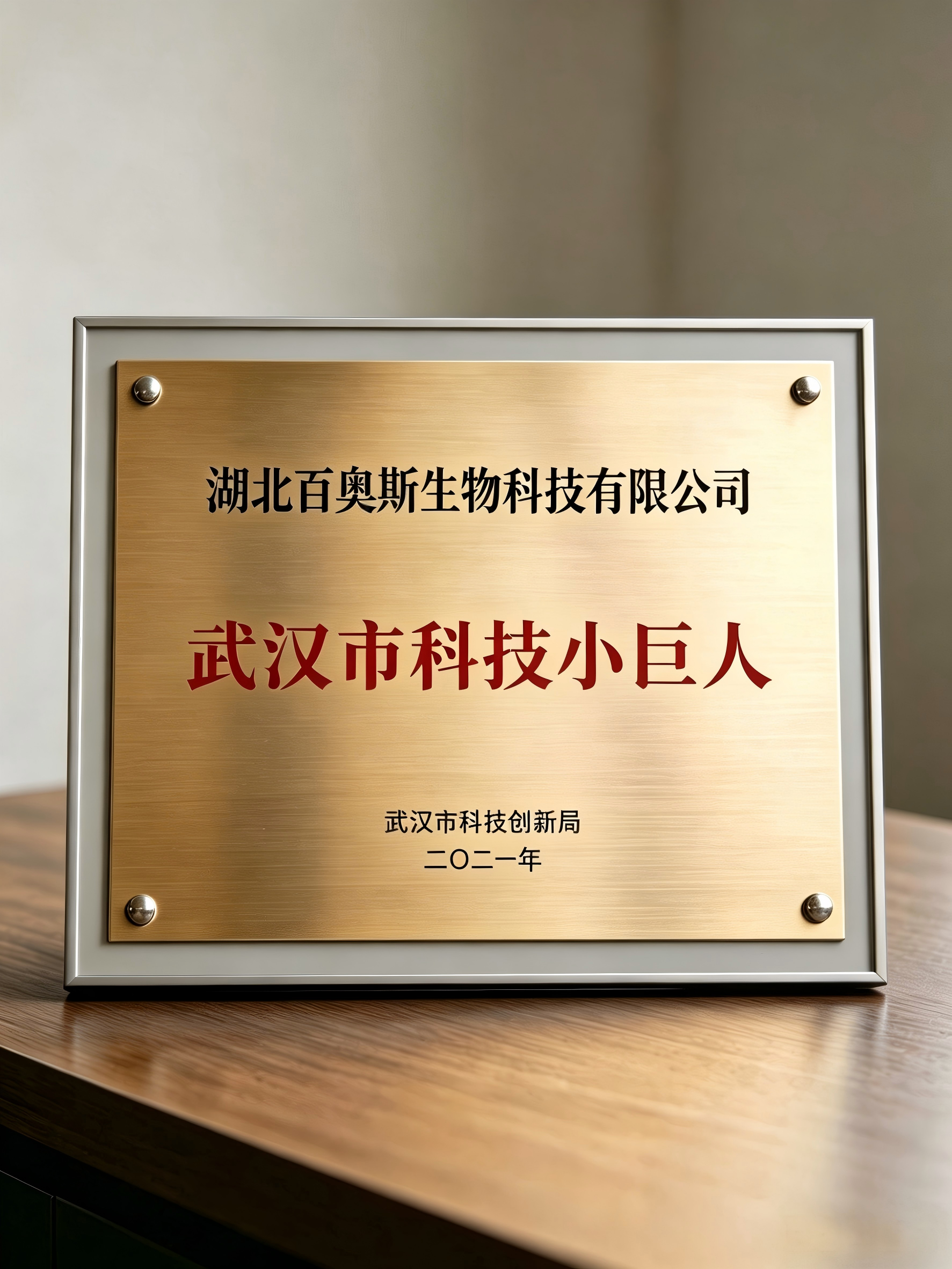武汉市科技小巨人