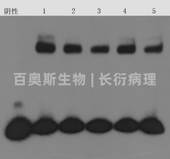 EMSA图片-1.jpg